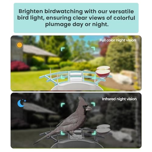 KimLamPro Smart Bird Feeder with Camera -AI 1080p HD Identify Wild Bird Recognition 10,000+ Birds Species - Night Vision Bird Feeder Camera with Solar Power and Live Video – Instan Alert Notification