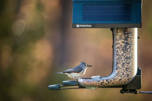 FeatherSnap Scout Wi-Fi Solar Powered Smart Bird Feeder - Automatically Captures HD Pictures and Videos! Best Gift for Bird Watchers! Dual Seed chamber - Feather Snap