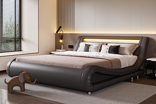 SHA CERLIN LED Queen Bed Frame with Adjustable Headboard - Low Profile Sleigh Design, Strong Wood Slats Support and Mattress Foundation, No Box Spring Needed, Grey