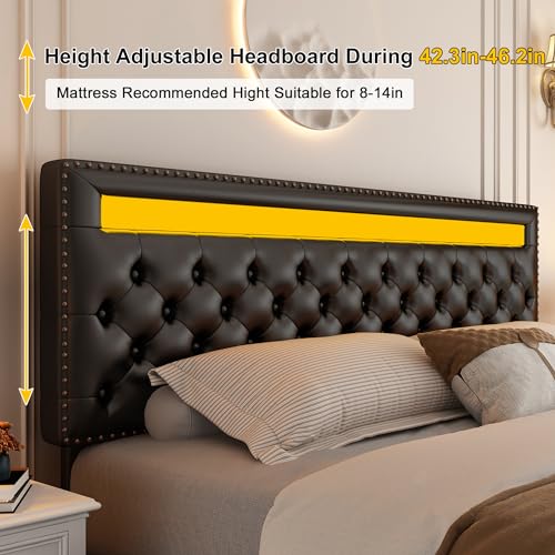 Queen Led Bed Frame with 4 Storage Drawers, with Smart Control RGBW LED Lights Headboard Footboard, Control DIY Color, Box Spring Optional, PU Leather Black
