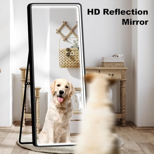 PexFix 64"x 21" LED Rectangle Full Length Mirror Standing Floor Mirror, Full Body Dressing Mirror, Wall Mounted Hanging Mirror for Bedroom, Black