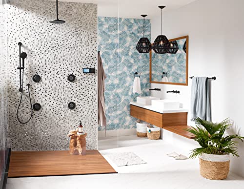 Moen Smart Shower Digital Shower Backup Battery Kit with 6 D Batteries, 179573