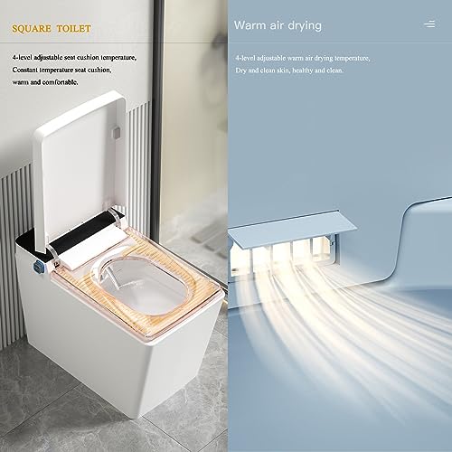 Black Modern Smart Toilet with Auto Open&Close Lid, One Piece Square Intelligent Tankless Toilet with Heated Bidet Seat, Warm Water, Warm Air Drying, Bidet Combo, HD Display and Remote control.