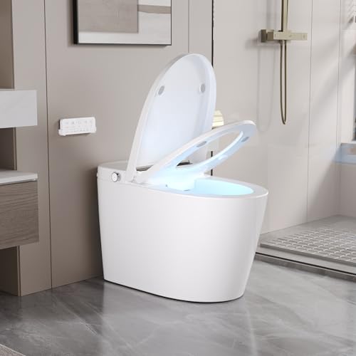 DeerValley Smart Toilet, Tankless Elongated Electric One Piece Toilet with Smart Bidet, Smart Toilet Bidet Seat 1.28 GPF for in White with Seat Heating, Remote Control