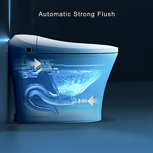 HOROW Heated Toilet, Modern Smart Toilet, Upgraded Self Cleaning One Piece Toilet with Warm Elongated Seat, White Tankless Toilet with Blackout Flush