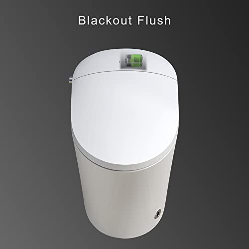 HOROW Heated Toilet, Modern Smart Toilet, Upgraded Self Cleaning One Piece Toilet with Warm Elongated Seat, White Tankless Toilet with Blackout Flush