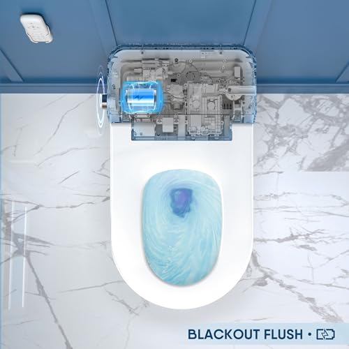ARRISEA Smart Bidet Toilet with Auto-open/close Lid, Auto Flush Smart Toilet with Warm Water Washing, Heated Bidet Seat, Adjustable Dryer, Toilet with Bidet and LED Display