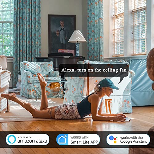 Universal Smart Ceiling Fan Remote Control and Dimmer Light Switch,Ceiling Fan Remote Replacement Compatible with Alexa,Google Assistant,Smart Life App,3 Speed,Timing,Dimming Remote Control