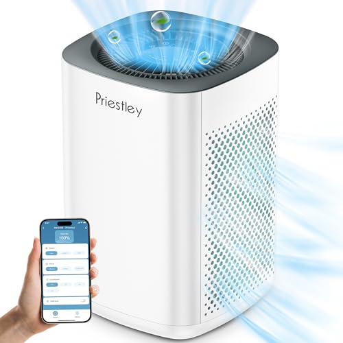 Air Purifiers, Air Purifier for Home, Large Room up to 1000 Ft², 3-Stage Filtration System, Removes 99.97% of Particles, H13 True HEPA Filter, Smoke, Allergies and pets, Timer, Sleeping much better