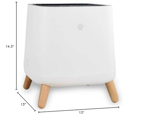 Smart Air S (HEPA + Carbon)- Attractive and Effective Air Purifiers For Home And Office - Includes HEPA And Carbon Filters - Take a Breath of Fresh Air!