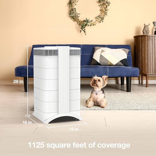 IQAir HealthPro Plus XE Air Purifier - Smart HyperHEPA Filtration for Large Rooms up to 1125 sq ft - Viruses, Allergens, Smoke, Mold, Dust, Pet Dander, Swiss Made, WiFi Enabled