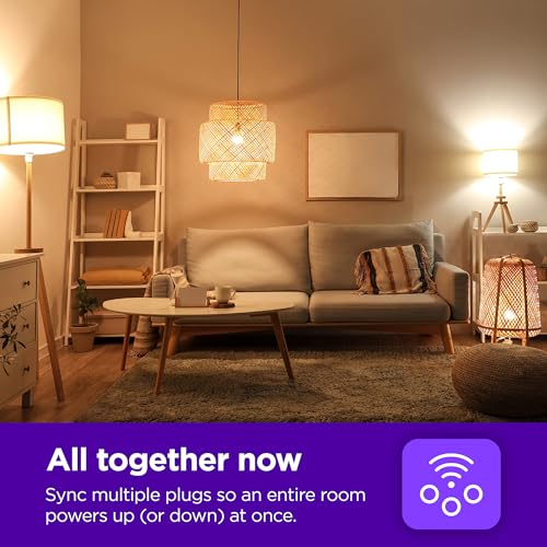 Roku Smart Home Indoor Smart Plug, 2-Pack - WiFi Smart Plugs Works with Alexa & Google Assistant, No Hub Required - Custom Scheduling Timer & Multi-Outlet Sync - Easy-to-Setup Smart Home Products