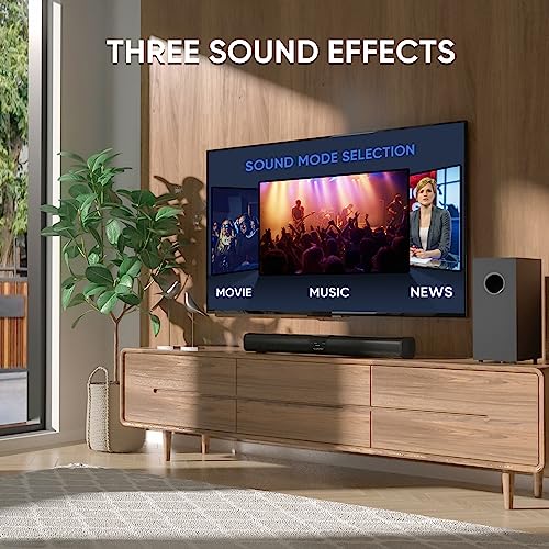Saiyin 100W Bluetooth Sound Bar with Subwoofer