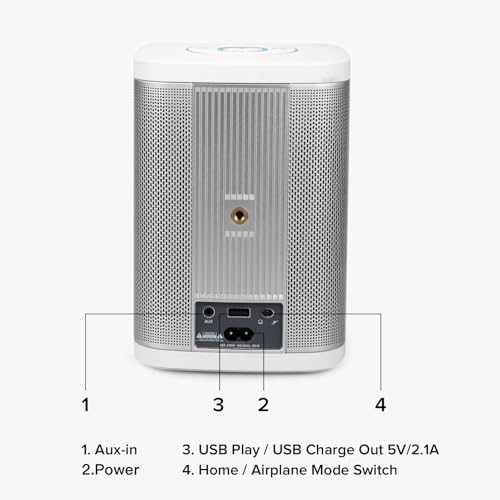 RIVA Concert Wireless Smart Speaker with Alexa