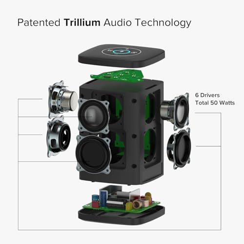 RIVA Concert Wireless Smart Speaker with Alexa