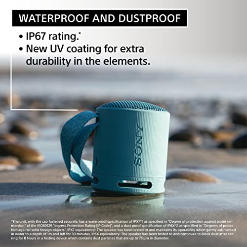 Sony SRS-XB100 Portable Bluetooth Waterproof Speaker