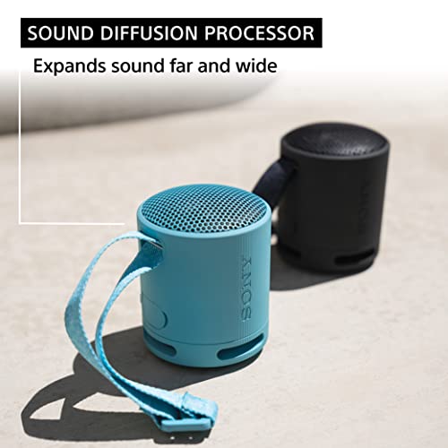 Sony SRS-XB100 Portable Bluetooth Waterproof Speaker