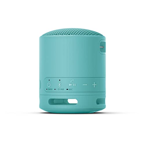 Sony SRS-XB100 Portable Bluetooth Waterproof Speaker
