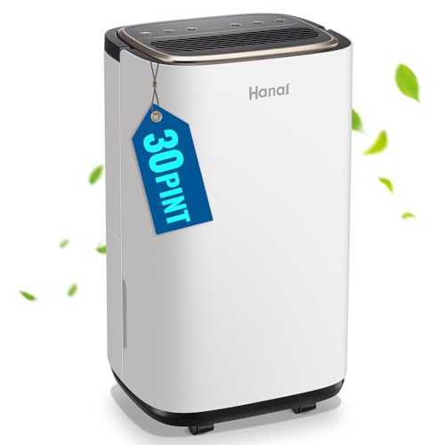 Dehumidifier for Basement 2500 Sq.Ft 30 Pint Small Home Dehumidifiers with Drain Hose for Medium to Large Room, Smart Humidity Control, Removable Air Filter, 2.2L Water Tank