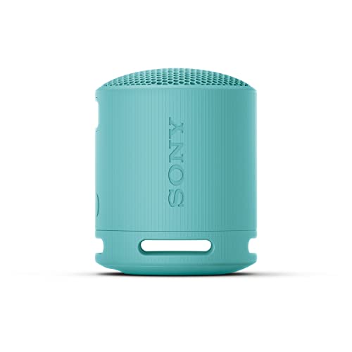 Sony SRS-XB100 Portable Bluetooth Waterproof Speaker