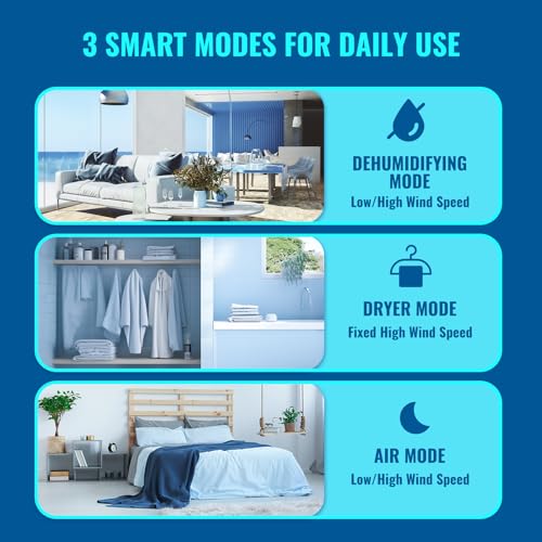Dehumidifier for Basement 2500 Sq.Ft 30 Pint Small Home Dehumidifiers with Drain Hose for Medium to Large Room, Smart Humidity Control, Removable Air Filter, 2.2L Water Tank