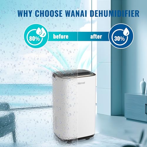 Dehumidifier for Basement 2500 Sq.Ft 30 Pint Small Home Dehumidifiers with Drain Hose for Medium to Large Room, Smart Humidity Control, Removable Air Filter, 2.2L Water Tank