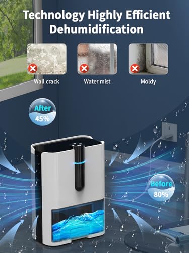 Dehumidifiers for Home,70 OZ Water Tank(1000 sq.ft), Small Dehumidifier with Drain Hose,Quiet Dehumidifier for Bathroom Bedroom Basement,Air Damp Rid,Auto Shut Off,Colors LED Lights,Two Working Modes
