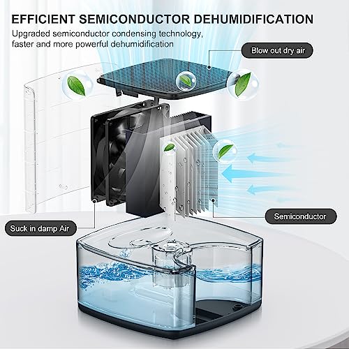 Dehumidifiers for Home 30 OZ Water Tank with Auto-Off, Portable Small ToLife Dehumidifier for Bedroom, Room, Bathroom,RV, Closet 500 sq.ft,7 Colors LED Light,White & Black
