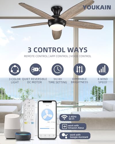 YOUKAIN Low Profile Ceiling Fan With Light, 52 Inch Smart Ceiling Fan With Light, Indoor/Outdoor Black Flush Mount Ceiling Fan With Remote & App Control, 52-YJ236-BKN
