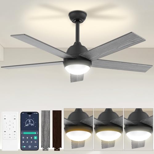 Ceiling Fan - 52 inch Outdoor Ceiling Fan with Light and Remote & APP Control, 6 Wind Speeds, 3 Color Temperatures, Smooth Dimming, Timing, Quiet Reversible DC Motor for Indoor and Outdoor-White