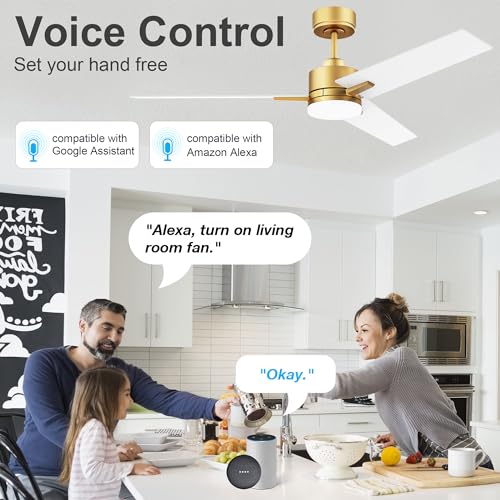 Lorpies 52inch Smart Ceiling Fan with Lights Remote,Quiet DC Motor,Dimmable,Voice Control via Alexa Google WIFI App,Outdoor Indoor Gold White Black Ceiling Fans with LED Light for Bedroom Patio Porch