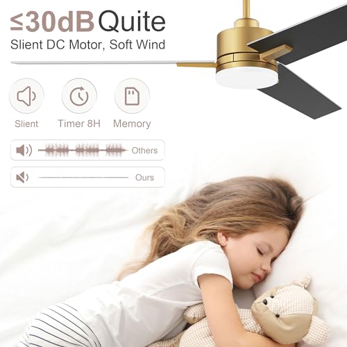 Lorpies 52inch Smart Ceiling Fan with Lights Remote,Quiet DC Motor,Dimmable,Voice Control via Alexa Google WIFI App,Outdoor Indoor Gold White Black Ceiling Fans with LED Light for Bedroom Patio Porch