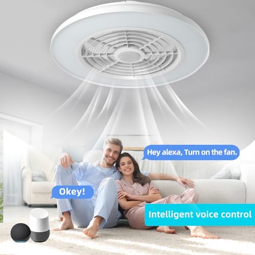 BAYSQUIRREL Wifi Low Profile Ceiling Fan with Light,Bluetooth Speaker Ceiling Fan 20In Smart Bladeless Ceiling Fans with Alexa/Google Assistant/App Control,6 Speed Dimmable LED-RGB Lights