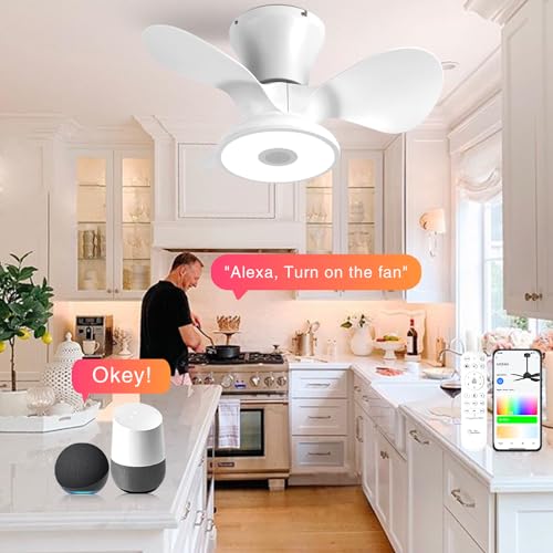 BAYSQUIRREL Ceiling Fan with Lights, Flush Mount Ceiling Fan, Low Profile Smart Ceiling Fan with Alexa/Google Assistant/App Control, 6 Speed Dimmable LED-RGB Lights