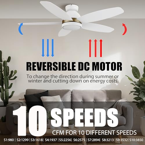 CEME 48" White Ceiling Fan with Light Flush Mount, Indoor & Outdoor Ceiling Fan with 10-Speed Quiet DC Motor, Smart Ceiling Fan Controlled by APP, Remote, Alexa, Siri & Google Home