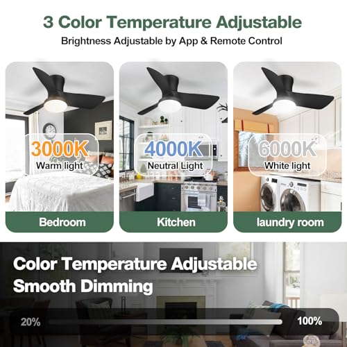 Ceiling Fans with Lights: 30 Inch Low Profile Ceiling Fans with Lights and Remote & APP Control Quiet Reversible 3 Colors Dimmable 6 Speeds Flush Mount Small Black Ceiling Fan for Bedroom Bathroom