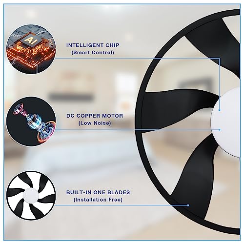 Hoenofly 22” Smart Low Profile Ceiling Fans with Lights Remote,Quiet DC Motor,Bladeless Flush Mount Ceiling Fan Controlled by WiFi Alexa App,Modern Black for Small Indoor Bedroom Outdoor Patio