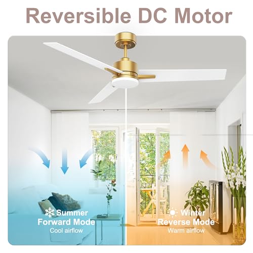 Lorpies 52inch Smart Ceiling Fan with Lights Remote,Quiet DC Motor,Dimmable,Voice Control via Alexa Google WIFI App,Outdoor Indoor Gold White Black Ceiling Fans with LED Light for Bedroom Patio Porch