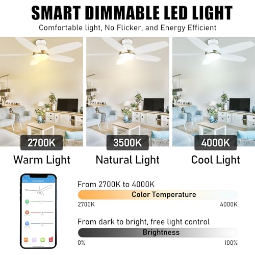 CEME 48" White Ceiling Fan with Light Flush Mount, Indoor & Outdoor Ceiling Fan with 10-Speed Quiet DC Motor, Smart Ceiling Fan Controlled by APP, Remote, Alexa, Siri & Google Home