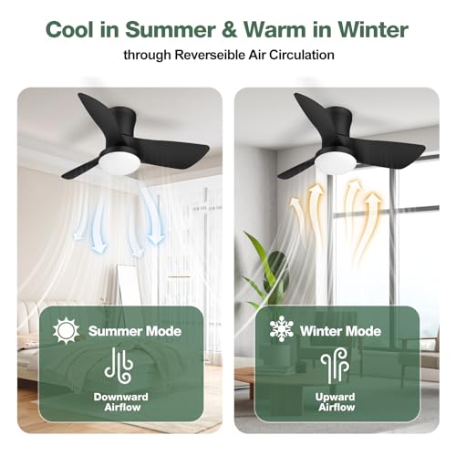 Ceiling Fans with Lights: 30 Inch Low Profile Ceiling Fans with Lights and Remote & APP Control Quiet Reversible 3 Colors Dimmable 6 Speeds Flush Mount Small Black Ceiling Fan for Bedroom Bathroom