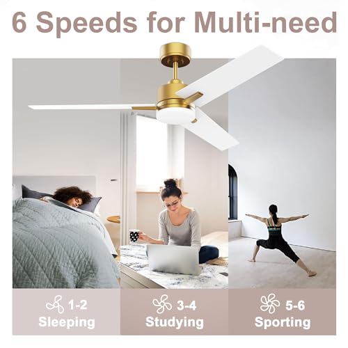 Lorpies 52inch Smart Ceiling Fan with Lights Remote,Quiet DC Motor,Dimmable,Voice Control via Alexa Google WIFI App,Outdoor Indoor Gold White Black Ceiling Fans with LED Light for Bedroom Patio Porch