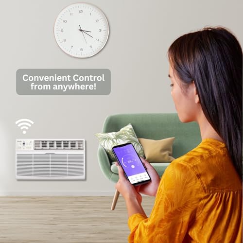 OLMO 8,000 btu 115V Through-the-Wall Air Conditioner with Remote Control and built in Smart Kit, Cooling Only (R32 Refrigerant) Wall Sleeve Included…