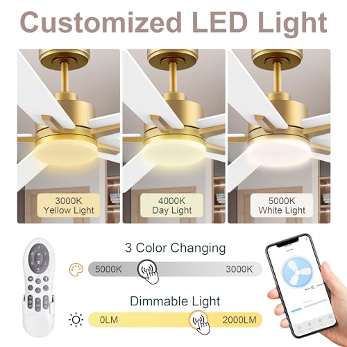 Lorpies 52” Smart Ceiling Fan with LED Lights Remote,Quite DC Motor,Voice Control via Alexa Google WIFI Phone,Outdoor Indoor Modern Ceiling Fans,Dimmable,for Bedroom Patio Porch,Gold and White Black