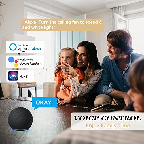 SMAAIR 52 Inch Smart Ceiling Fans with Lights and Remote, 10-speed Reversible DC Motor Works with Remote Control/Alexa/Google Assistant/Siri Shortcuts (52 Inch, Gold/Black)