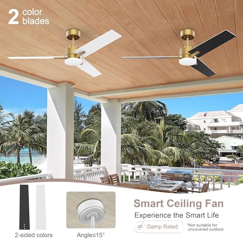 Lorpies 52inch Smart Ceiling Fan with Lights Remote,Quiet DC Motor,Dimmable,Voice Control via Alexa Google WIFI App,Outdoor Indoor Gold White Black Ceiling Fans with LED Light for Bedroom Patio Porch
