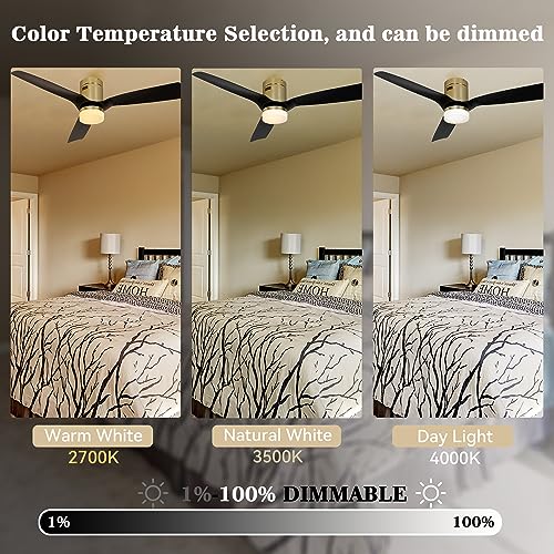 SMAAIR 52 Inch Smart Ceiling Fans with Lights and Remote, 10-speed Reversible DC Motor Works with Remote Control/Alexa/Google Assistant/Siri Shortcuts (52 Inch, Gold/Black)