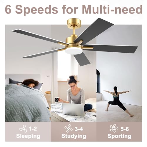 Lorpies 52” Smart Ceiling Fan with LED Lights Remote,Quite DC Motor,Voice Control via Alexa Google WIFI Phone,Outdoor Indoor Modern Ceiling Fans,Dimmable,for Bedroom Patio Porch,Gold and White Black