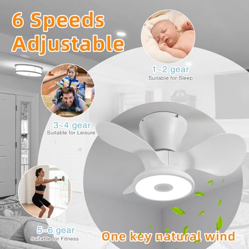 BAYSQUIRREL Ceiling Fan with Lights, Flush Mount Ceiling Fan, Low Profile Smart Ceiling Fan with Alexa/Google Assistant/App Control, 6 Speed Dimmable LED-RGB Lights