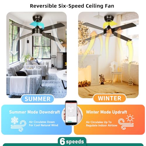 YITAHOME 48 Inch Black Ceiling Fan with Lights and Remote,4 Blades, App Control, Modern Smart Ceiling Fan Compatible with Alexa for Indoor Outdoor, Reversible Quiet Motor, Memory Function