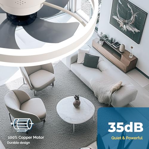 Orison Smart Ceiling Fans with Lights Compatible with Alexa and Google Assistant 20", Low Profile Ceiling Fan with Lights Remote,APP Control,6 Speed Reversible Blades for Bedroom/Living Room